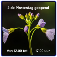 Voorbeeld - kopie (3)